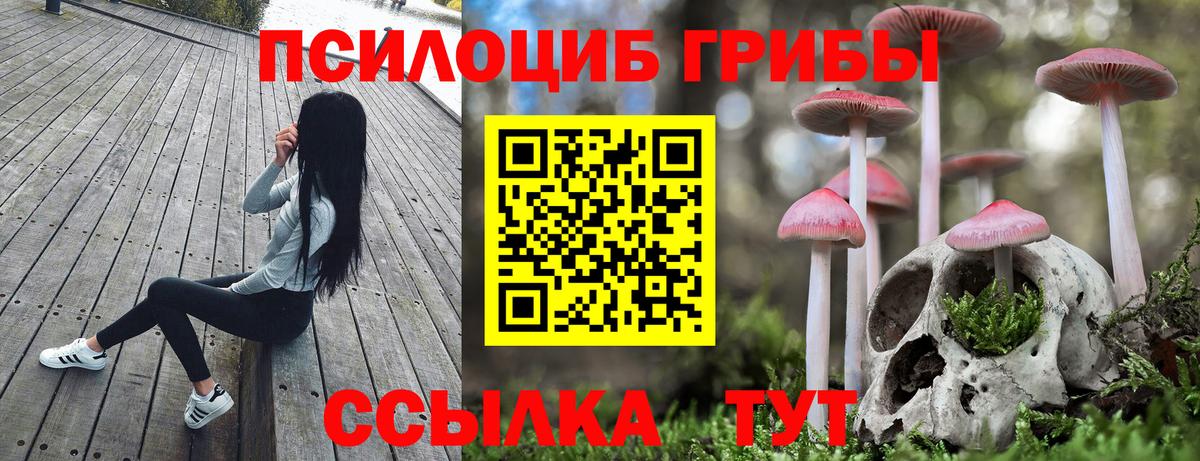 Псилоцибиновые грибы прущие грибы  Вход с VPN  Набережные Челны  Псилоцибиновые грибы мицелий 