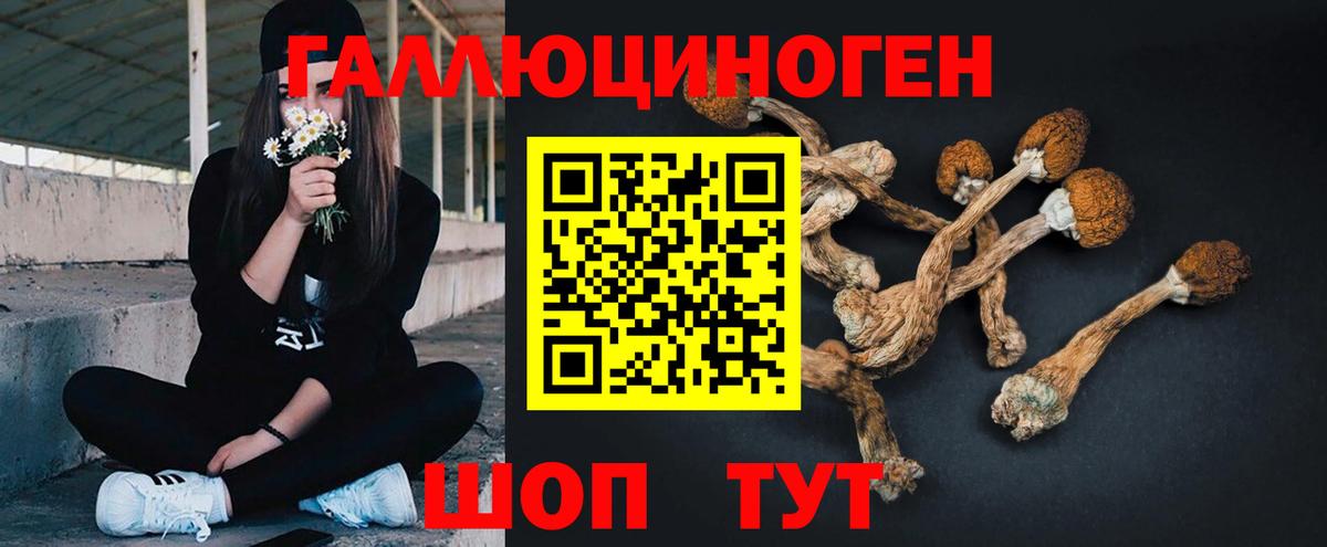 Галлюциногенные грибы мухоморы Набережные Челны